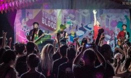 成都爆料最新视频,揭秘城市热点事件背后的真相